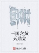 三国之黄天鼎立